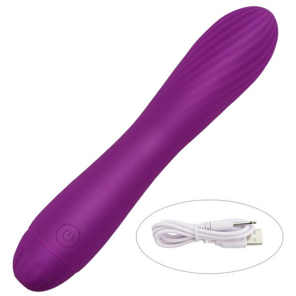 USB char 10-frequency silica gel AV vibrating stick female flirt masturbation appliance