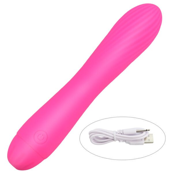 USB char 10-frequency silica gel AV vibrating stick female flirt masturbation appliance