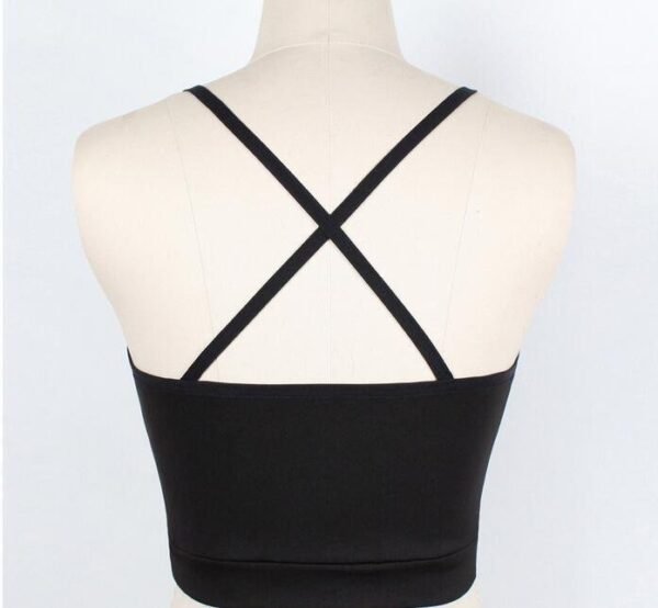 Mesh see-through plunging bra