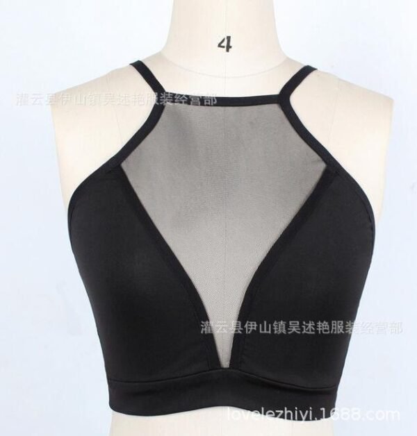 Mesh see-through plunging bra